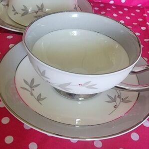 Harmony by Syracuse cup and saucer